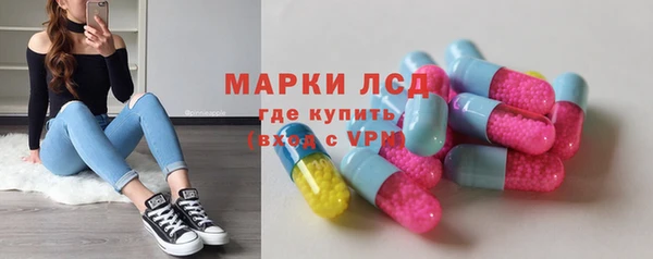 прущие грибы Белокуриха